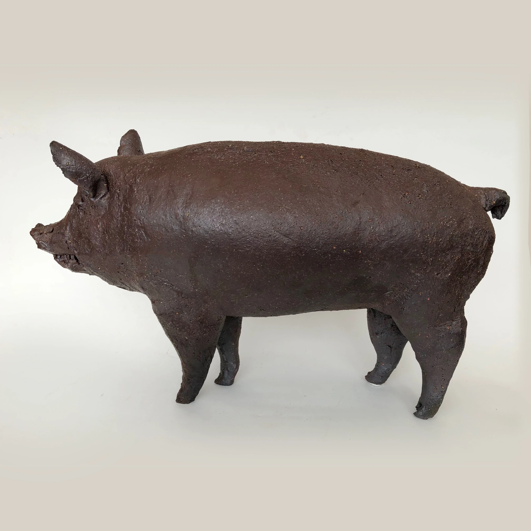 Brown Sow