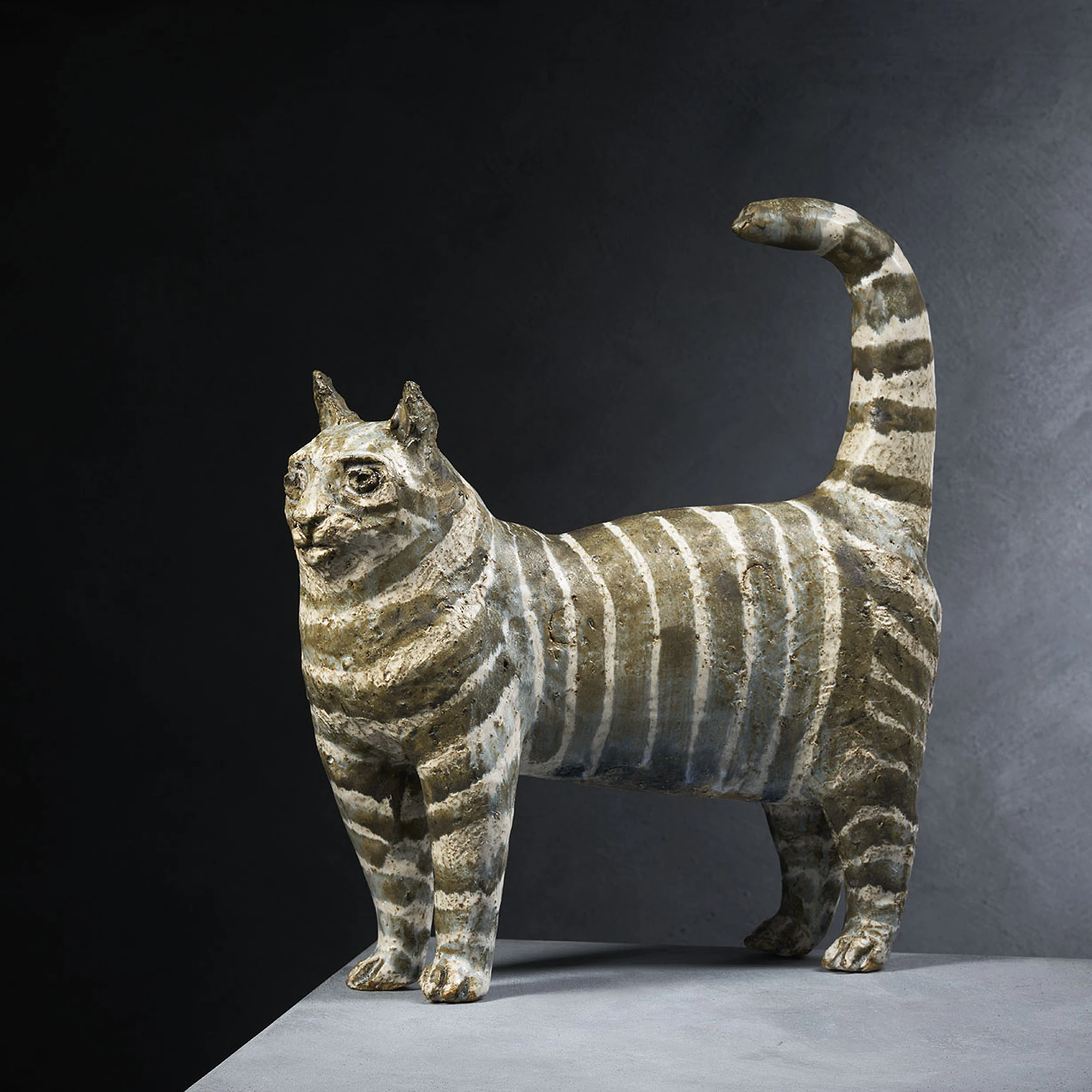 Pyjama Cat