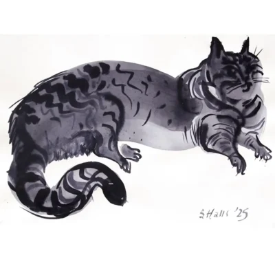 Indigo Cat