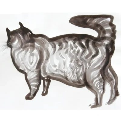 Indigo Tabby