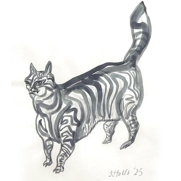 Drawings